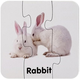 Puzzle edukacyjne Lean Toys Dzikie zwierzęta 10 połączeń 7811 (wersja angielska) (5903802454024) - obraz 7