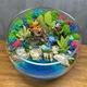 Флорариум Стич в тропиках с суккулентами и водоёмом 25 см - изображение 3