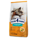 Сухой корм для стерилизованных котов Club 4 Paws Sterilized с индейкой 14 кг B4631701 - изображение 1