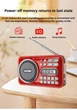 Радіоприймач / Bluetooth-колонка з акумулятором LED-дисплей MP3-плеєр USB / TF / FM / MIC-диктофон green - зображення 10