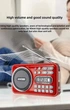 Радіоприймач / Bluetooth-колонка з акумулятором LED-дисплей MP3-плеєр USB / TF / FM / MIC-диктофон green - зображення 12