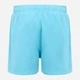 Шорты пляжные мужские Regatta Mawson SwShortIII RMM016-42L L Голубые (5063516012733) - изображение 7