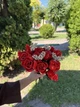 Конструктор Букет троянд на 822 деталі (10328) - изображение 6