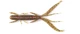 140174-PA03 Німфа силікон. HOGY SHRIMP LJ Pro Series 3,5 "/ PA03 *5 - изображение 2