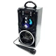Акустическая система 1.0 Media-Tech 18W, Bluetooth/FM/AUX/SD/USB/КАРАОКЕ черная - изображение 1