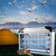 Знищувач пастка для комарів та комах Sanico ik-204 20W для альтанки на дачі - зображення 2