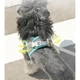 Шлея-жилет светоотражающая для кошек и собак Harness Vest S Blue Sky - изображение 6