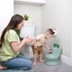 Детский горшок-унитаз Ingenuity My Size Potty Pro (11124.04) - изображение 4