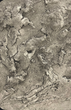 Фасадная декоративная штукатурка с эффектом природного камня TM DECORATOR Concrete 15кг - изображение 2