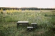 Стол Tribe Camp Table Low пластиковый (T-EF-0003-olive) - изображение 19