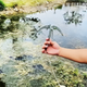 Крюк кішка для чищення водоростей, в комплект входить міцна 10-метрова мотузка - зображення 8