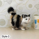 Имитация кота кошки реалистичная игрушка 3д 3d домашний питомец кот котик - изображение 2
