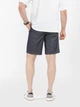 Шорты короткие мужские Arber Diego Shorts M29.34.09.521 58 Серые (2800000520137) - изображение 2