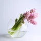 Ваза стеклянная 15,5 см Pasabahce Botanica 45068 ТЕХ - изображение 2
