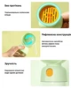 Портативная бутылка поилка для собак 2в1 Pet Accompanying на 400 мл с отделением для корма на 182 мл Зеленая - изображение 3