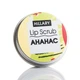 Скраб для губ Ананас Hillary Lip Scrub Pineapple, 30 г HI-05-088 - зображення 1