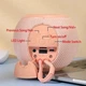 Bluetooth-колонка TG337 з RGB ПІДСВІЧУВАННЯМ, speakerphone, радіо, pink - зображення 5