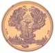Монета Украина 200 гривен 1996 Золото Proof Киево-Печерская лавра (Au 900, пол-унции, 15,55 грамм в чистоте) - изображение 3