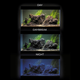 Zestaw akwariowy Aquael Ultrascape Forest Set 60 64.8 L (5905546327565) - obraz 12