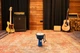 Джембе MEINL Djembe Junior Series Blue 7" JRD-B - изображение 7