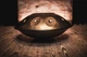 Хендпан MEINL Sonic Energy Sensory Handpan D Amara Vintage Gold 22" HPSTL91 - изображение 9