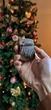 Калімба MEINL Sonic Energy Black Walnut Mini Kalimba KL801TOL - изображение 13