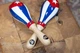 Маракаси MEINL Rawhide Maracas Traditional Cuba Flag MSM3CU - изображение 8