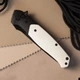 Ніж Складаний BESTECH SWORDFISH BG62A Black and White G10 - изображение 5