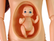 Zestaw lalek Lean Toys Mama w ciąży 30 cm + Syn 10 cm + Akcesoria (5905679072509) - obraz 4
