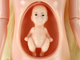 Лялька Lean Toys Вагітна мама 31 см (5905679072523) - зображення 5