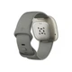 Смарт-часы Fitbit Sense Silver Sage Grey (FB512SRSG) - изображение 3