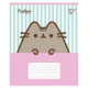 Зошит YES 18 аркушів клітинка Pusheen Candy - зображення 1