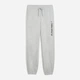 Спортивные штаны для тренировок мужские Puma Graphics 52770304 S Light Gray Heather (4069157565905) - изображение 4