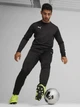Спортивні штани для футболу чоловічі Puma Teamgoal Training 65863903 2XL Black-White-Flat Dark Gray (4099686748272) - зображення 3