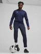 Спортивные штаны для футбола мужские Puma Teamgoal Training 65863906 L Navy-White-Persian Blue (4099685921973) - изображение 3