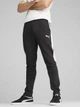 Спортивные штаны мужские Puma Teamtravela 65994803 S Black-Silver-White (4067984093349) - изображение 1