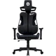 Компьютерное кресло для геймера Canyon Morphos ABCH01 Black (CNS-ABCH01BW) - изображение 1