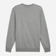 Свитшот на флисе мужской Puma Essentials Foundation 68255803 XL Medium Gray Heather с принтом (4067983639296) - изображение 5