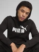 Худи утепленное мужское Puma Essentials Foundation 68257001 M Black (4067983579448) - изображение 4