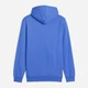 Худи утепленное мужское Puma Essentials Foundation 68257513 M Mountain Blue (4069157432771) - изображение 5
