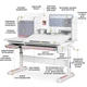 Детский стол Mealux Winnipeg Multicolor WG + PN (BD-630 WG + PN Multicolor) - изображение 3