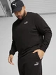 Спортивные штаны мужские утепленные Puma Essentials Foundation 68260601 M Black (4067983590313) - изображение 4
