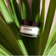 Крем для обличчя Ahava Time To Hydrate Essential зволожуючий для комбінованої шкіри 50 мл (697045158195) - зображення 4