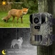 Фотоловушка Suntek MiNi800 (50Мп, экран 2") (1367) - изображение 4