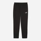 Спортивные штаны мужские утепленные Puma Essentials Foundation 68261001 XL Black (4067983578328) - изображение 6