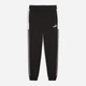 Спортивные штаны мужские Puma Essentials Block 68468901 M Black (4067983592980) - изображение 6