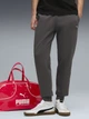 Спортивные штаны мужские утепленные Puma Essentials Elevated 68827744 S Dusky Gray (4069157684798) - изображение 1