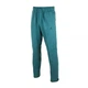 Чоловічі Штани JORDAN M J DF SPRT HOOP FLC PANT Зелений L (7dFV8604-366 L) - зображення 1