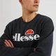 Чоловічий Світшот Ellesse SL Succiso Sweatshirt Сірий S (7dSHC07930-106 S) - зображення 4