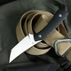 Ніж Фіксований BESTECH STEP BFK06A - зображення 2